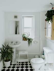 White bathroom with plants on the windowsill